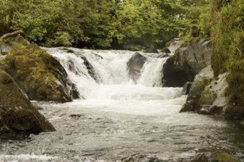 Buckley Arms Hotel Dinas Mawddwy Ngoại thất bức ảnh